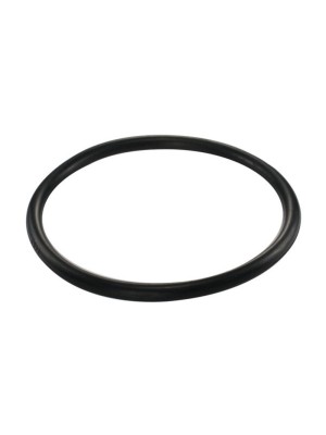 GUARNICAO DA FLANGE S10 BLAZER