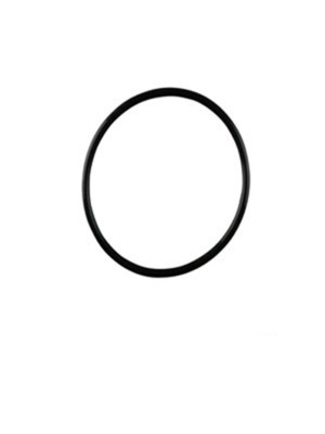 GUARNICAO DA FLANGE CORSA VECTRA TIGRA