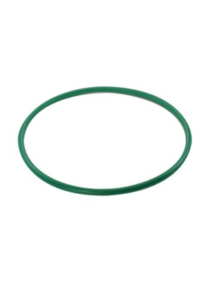 GUARNICAO DA FLANGE CLIO LOGAN MASTER MEGANE SANDERO SCENIC